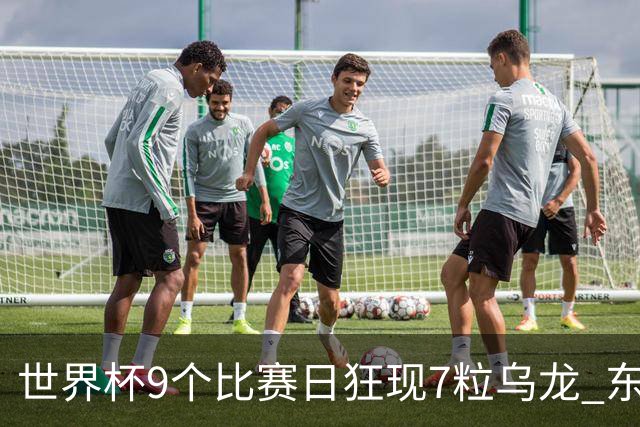 世界杯9个比赛日狂现7粒乌龙 东道主美国成最大受益者