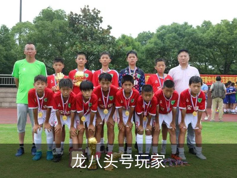 了解龙八头号玩家